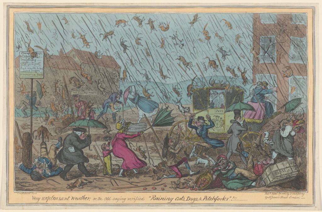 an illustrated print of people holding umbrellas as cats and dogs fall from the sky