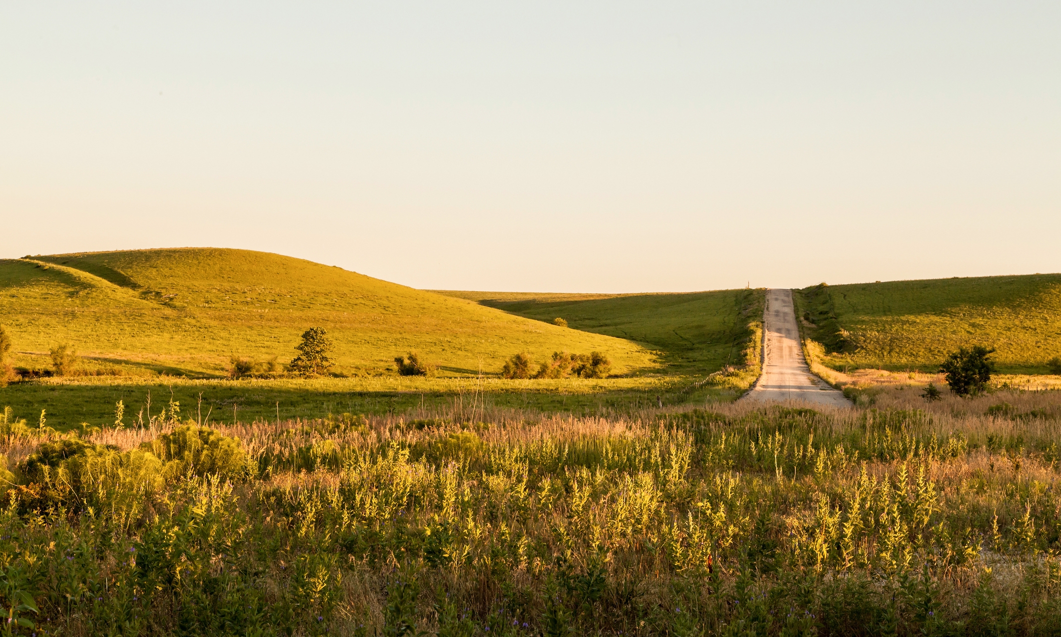 State of Kansas Average SAT Score Class of 2021 Test Geek Blog